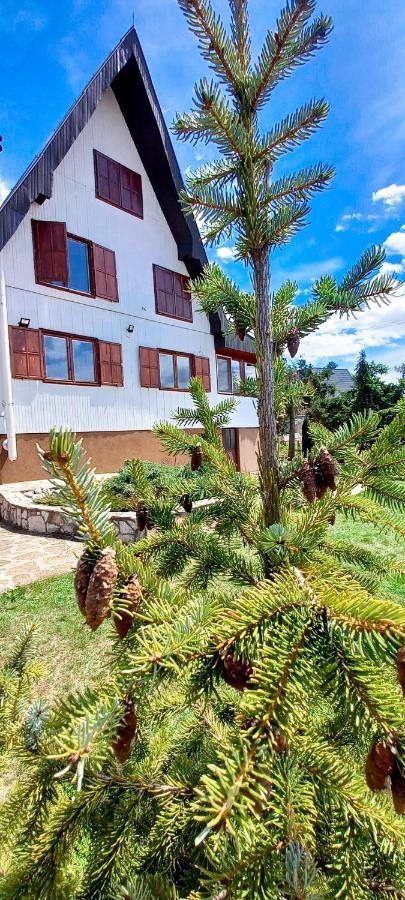 Apartment Relja Zlatibor Buitenkant foto
