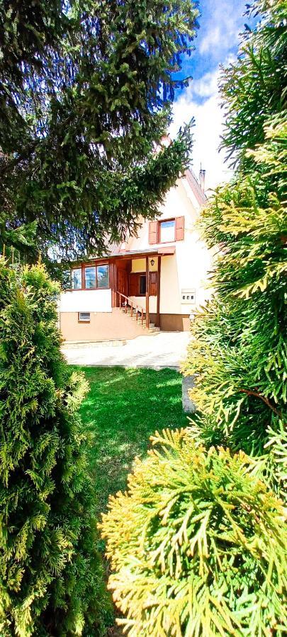 Apartment Relja Zlatibor Buitenkant foto